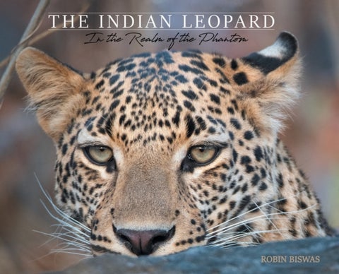 The Indian Leopard - In the Realm of the Phantom