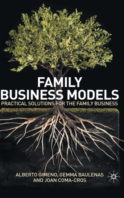 Family Business Models - Practical Solutions for the Family Business