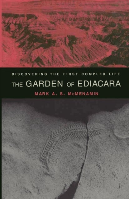 The Garden of Ediacara - Discovering the First Complex Life