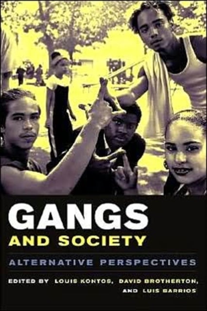Gangs and Society - Alternative Perspectives