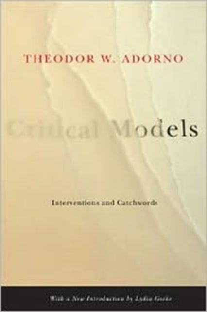 Critical Models - Interventions and Catchwords
