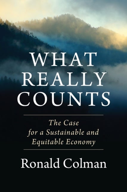 What Really Counts - The Case for a Sustainable and Equitable Economy