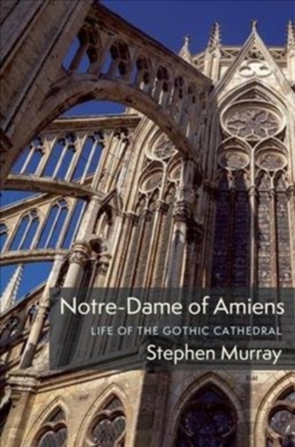 Notre-Dame of Amiens - Life of the Gothic Cathedral