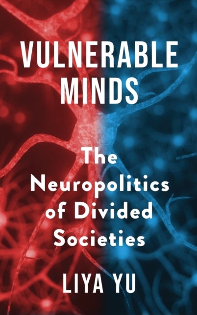 Vulnerable Minds - The Neuropolitics of Divided Societies