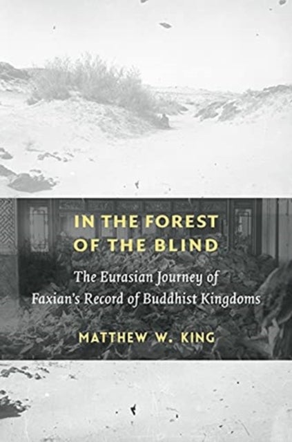In the Forest of the Blind - The Eurasian Journey of Faxian's Record of Buddhist Kingdoms