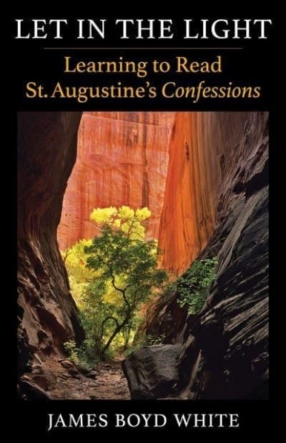 Let in the Light - Learning to Read St. Augustine's Confessions