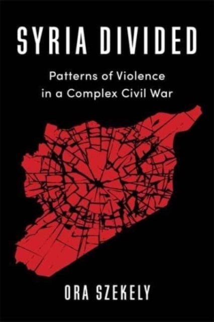 Syria Divided - Patterns of Violence in a Complex Civil War