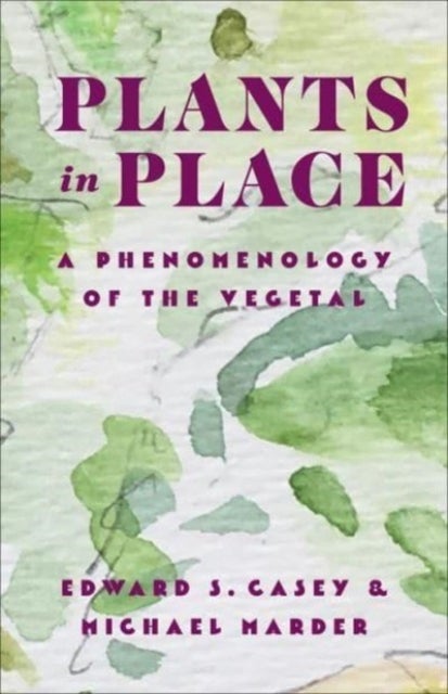 Plants in Place - A Phenomenology of the Vegetal