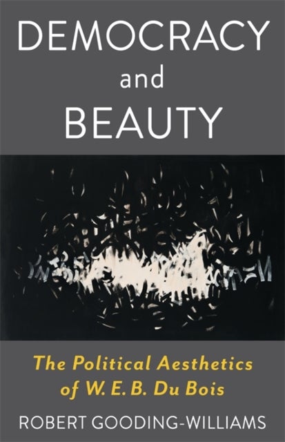 Democracy and Beauty - The Political Aesthetics of W. E. B. Du Bois