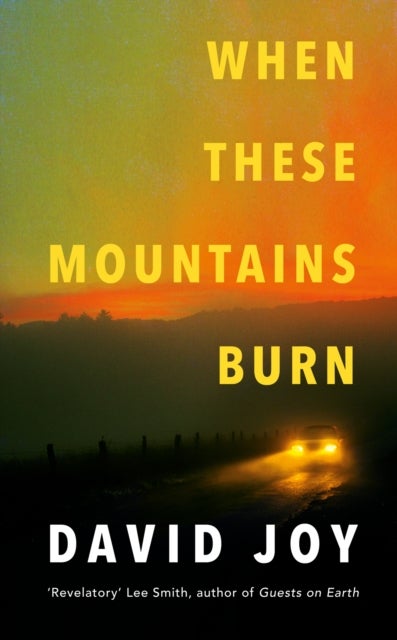 When These Mountains Burn - The literary crime thriller from the prizewinning master of American noir fiction