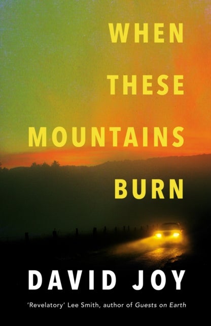 When These Mountains Burn - The literary crime thriller from the prizewinning master of American noir fiction