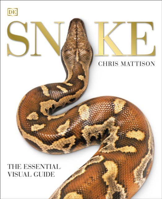 Snake - The Essential Visual Guide