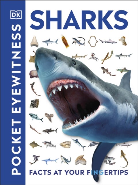 Pocket Eyewitness Sharks - Facts at Your Fingertips