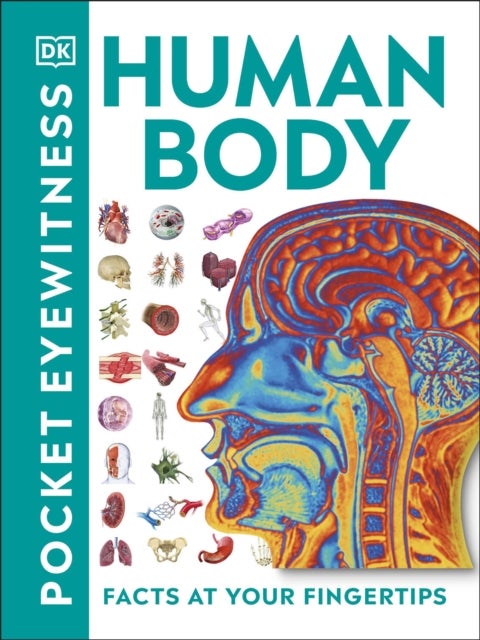 Pocket Eyewitness Human Body - Facts at Your Fingertips