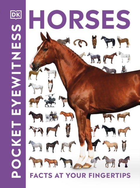 Pocket Eyewitness Horses - Facts at Your Fingertips