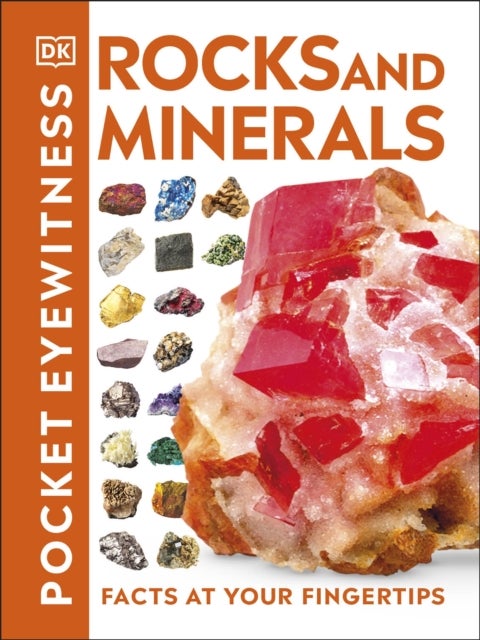 Pocket Eyewitness Rocks and Minerals - Facts at Your Fingertips