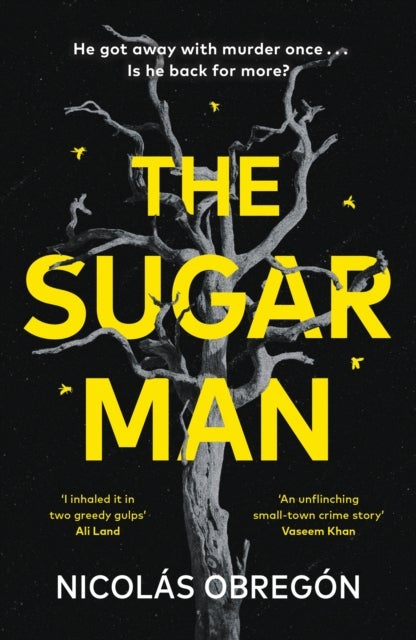 The Sugar Man