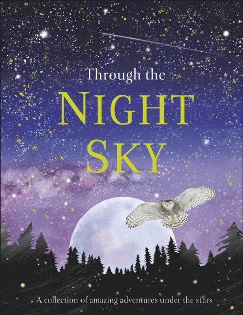 Through the Night Sky - A collection of amazing adventures under the stars