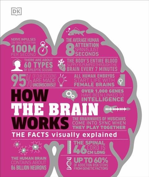 How the Brain Works - The Facts Visually Explained