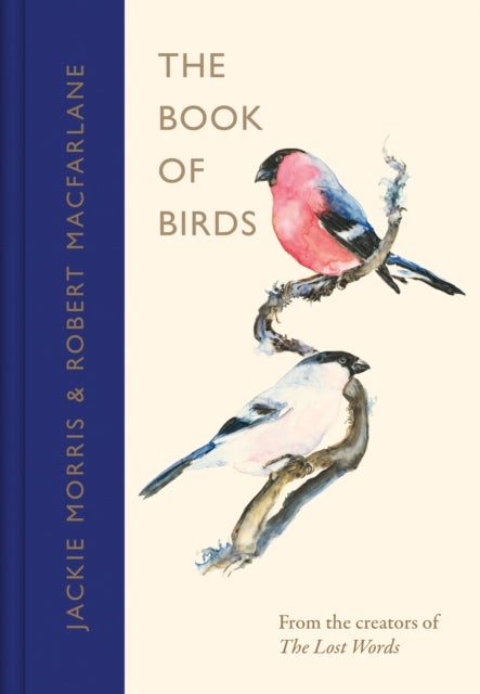 The Book of Birds - A Field Guide to Wonder and Loss