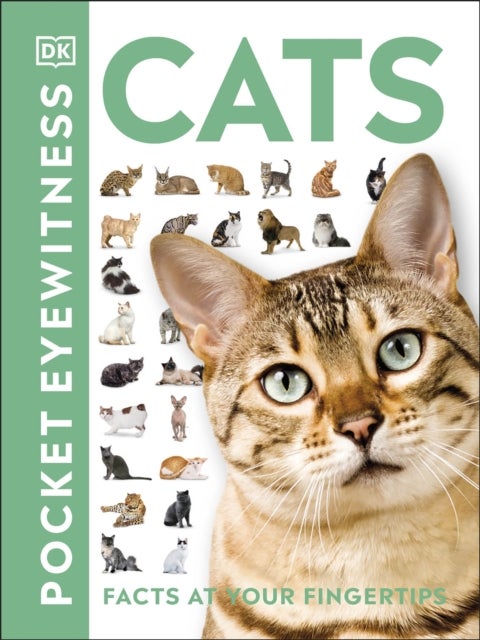 Cats - Facts at Your Fingertips