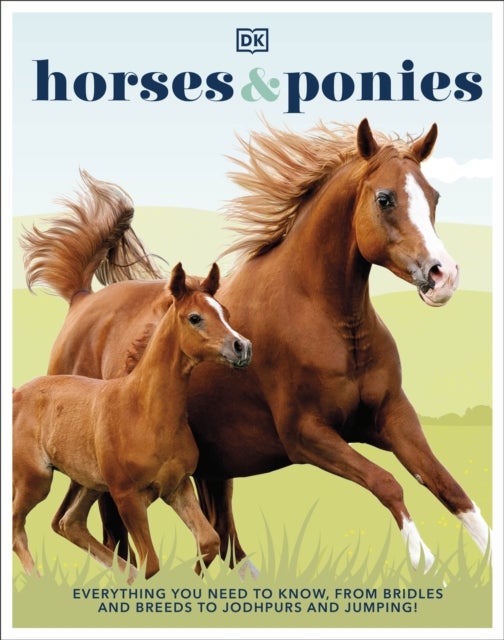 Horses & Ponies - Everything You Need to Know, From Bridles and Breeds to Jodhpurs and Jumping!