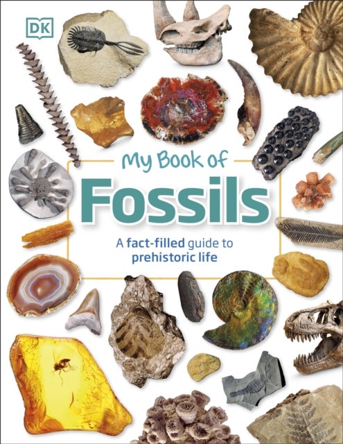 My Book of Fossils - A fact-filled guide to prehistoric life