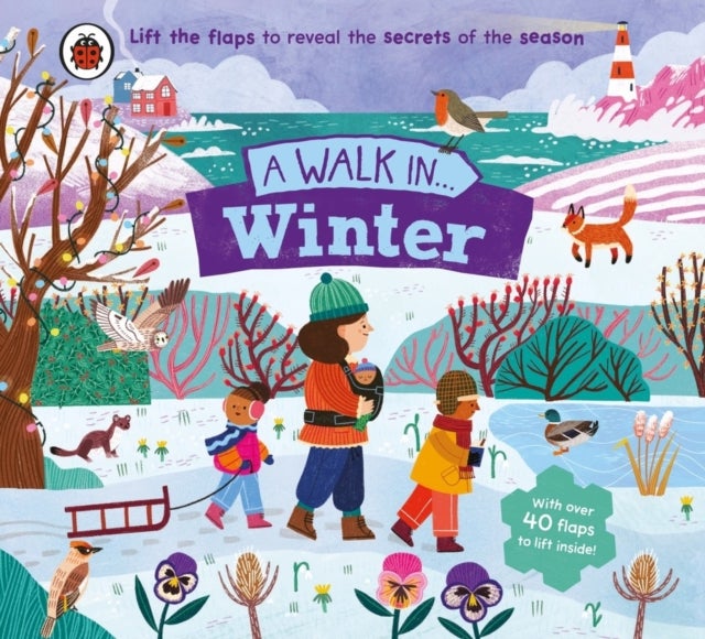 A Walk in Winter - Lift the flaps to reveal the secrets of the season
