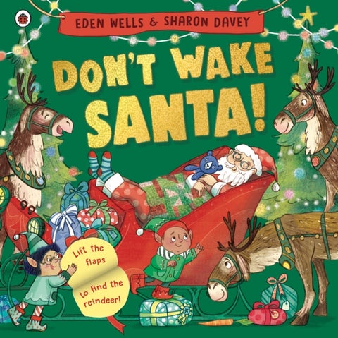 Don't Wake Santa - A lift-the-flap Christmas book