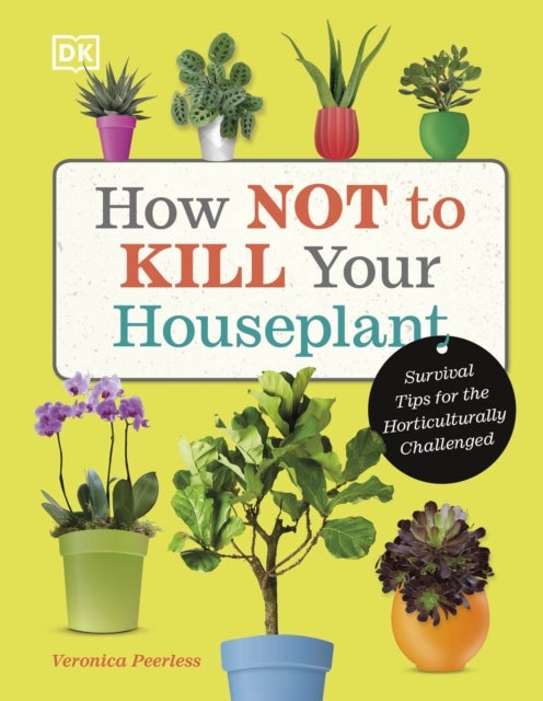 How Not to Kill Your Houseplant - Survival Tips for the Horticulturally Challenged