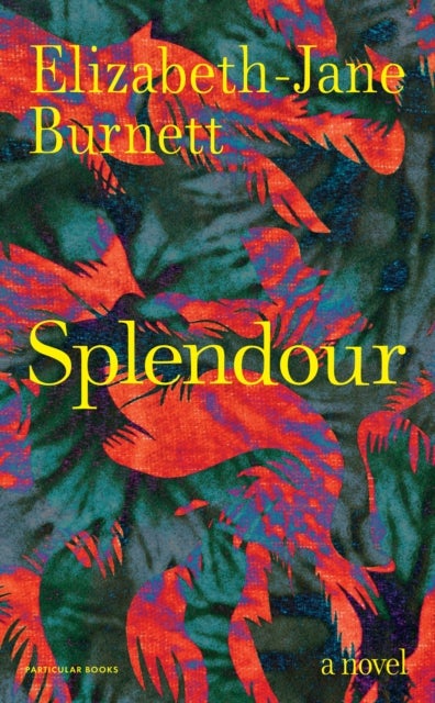 Splendour - A Novel