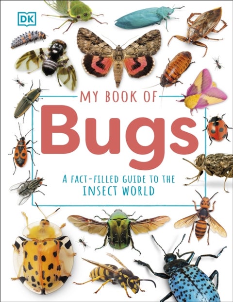 My Book of Bugs - A Fact-Filled Guide to the Insect World