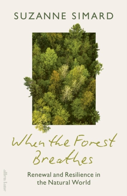 When the Forest Breathes - Renewal and Resilience in the Natural World