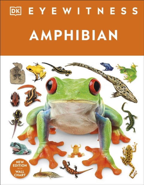 Eyewitness Amphibian