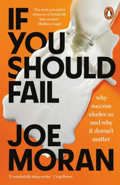 If You Should Fail - Why Success Eludes Us and Why It Doesn’t Matter