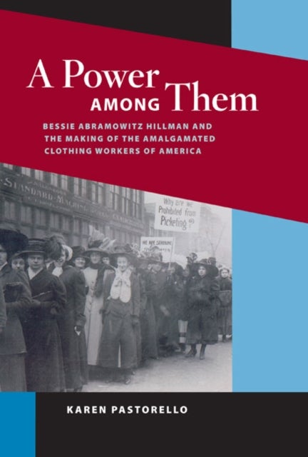 A Power Among Them - Bessie Abramowitz Hillman and the Making of the Amalgamated Clothing Workers of America