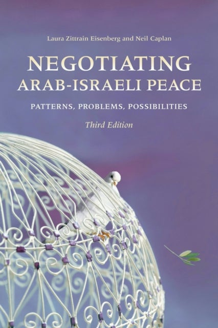 Negotiating Arab-Israeli Peace - Patterns, Problems, Possibilities