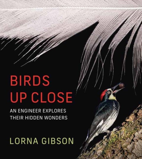 Birds Up Close - An Engineer Explores Their Hidden Wonders
