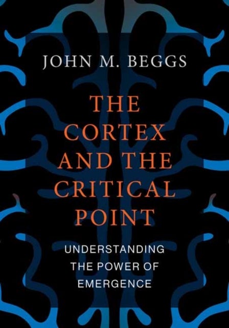The Cortex and the Critical Point - Understanding the Power of Emergence