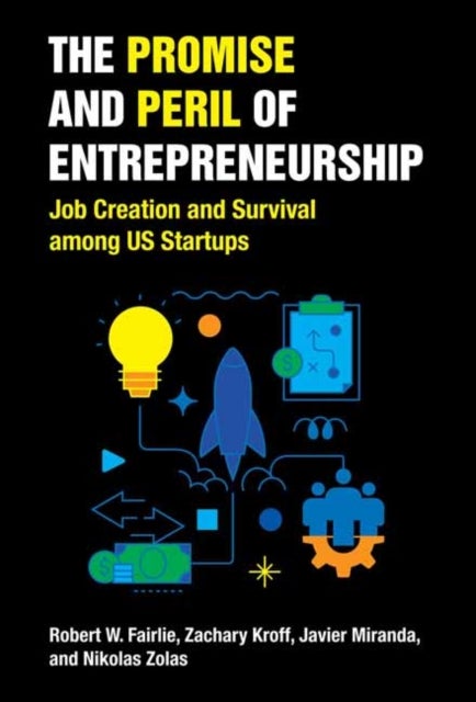 The Promise and Peril of Entrepreneurship - Job Creation and Survival among US Startups
