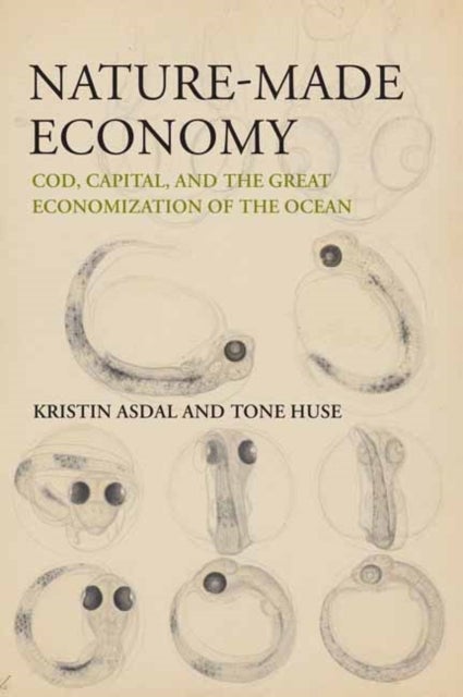Nature-Made Economy - Cod, Capital, and the Great Economization of the Ocean