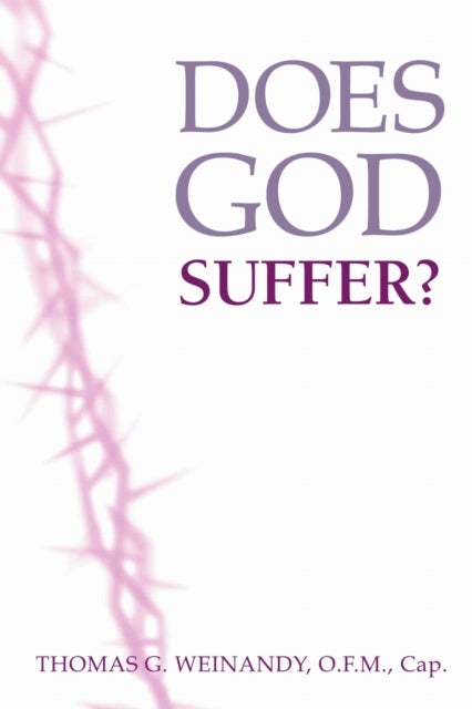 Does God Suffer?