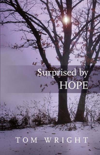 Surprised by Hope - Rethinking heaven, the resurrection and the mission of the Church