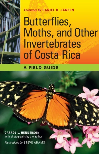 Butterflies, Moths, and Other Invertebrates of Costa Rica - A Field Guide