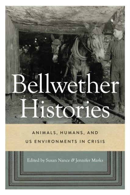 Bellwether Histories - Animals, Humans, and US Environments in Crisis