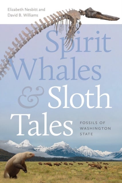 Spirit Whales and Sloth Tales - Fossils of Washington State