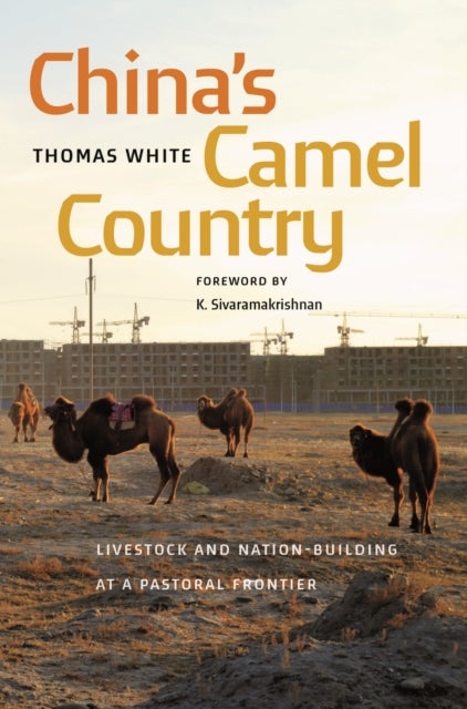 China's Camel Country - Livestock and Nation-Building at a Pastoral Frontier