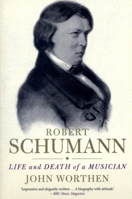 Robert Schumann - Life and Death of a Musician