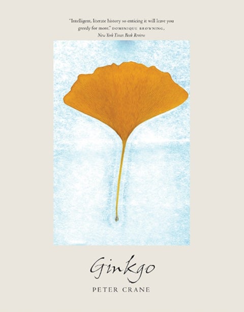 Ginkgo - The Tree That Time Forgot