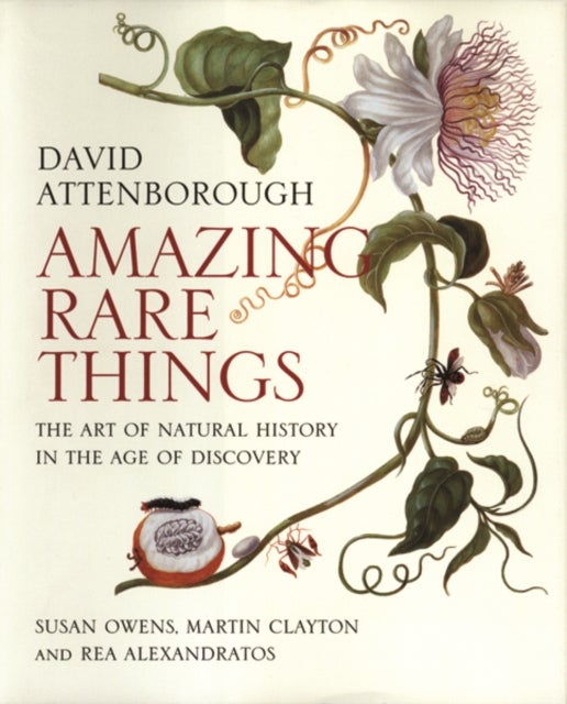 Amazing Rare Things - The Art of Natural History in the Age of Discovery